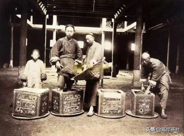 英国人如何适应中国,英国人爱上中国的茶