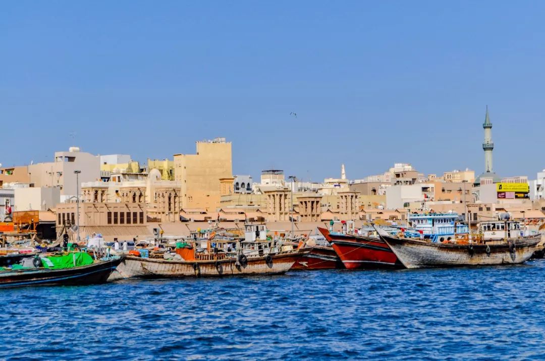 靠捡垃圾成了千亿富翁完整版,捡垃圾变成百万富翁