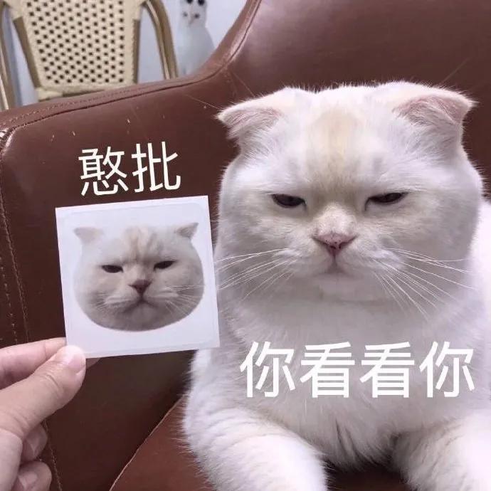 沙雕表情包怎么拿,沙雕表情包有本事你打我嘛