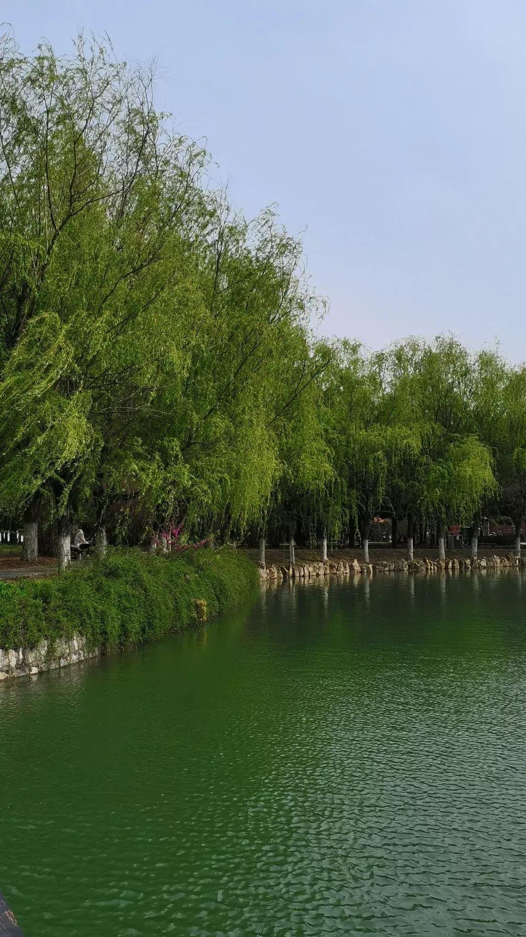 淮南师范学院在安徽排名,淮南师范学院安徽省排名