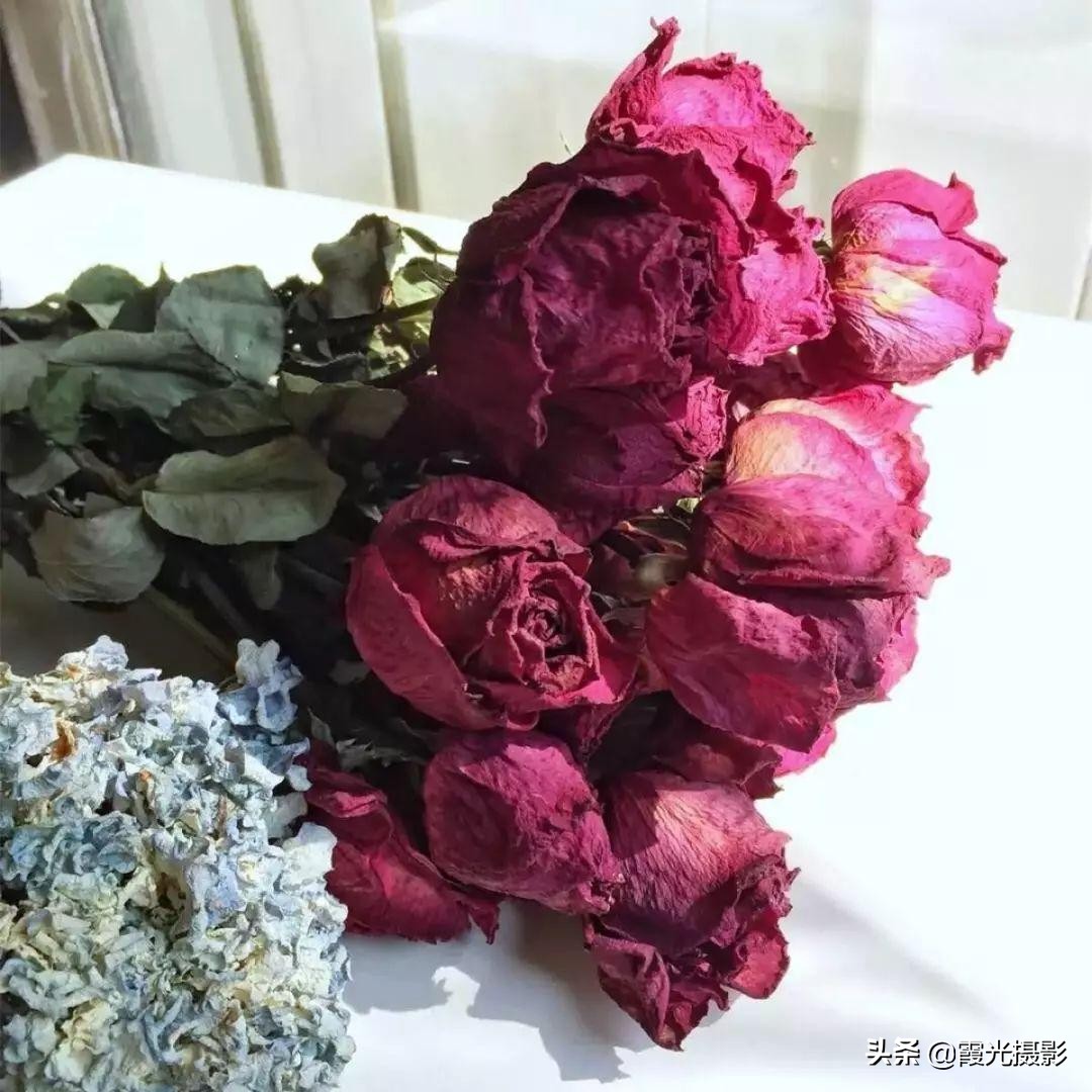 怎么做保持原花色的干花,如何制作干花保持得久