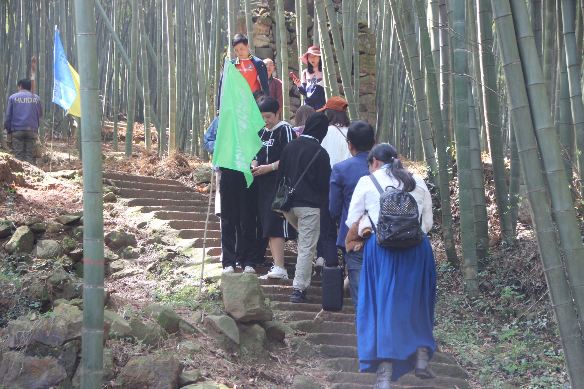 临海黄土山竹笋,浙江竹笋哪里最好