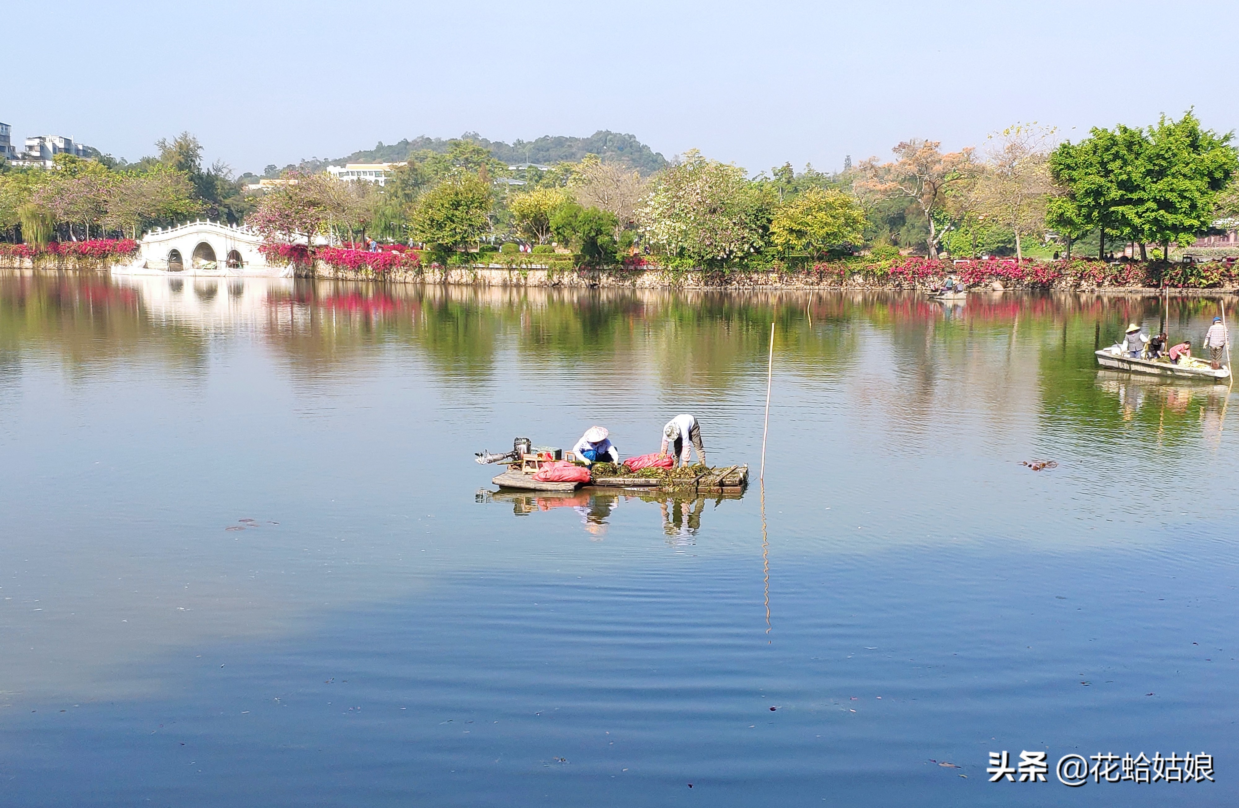有苎萝西子之美誉的惠州西湖,是国家5*级A**旅游景区,静中带美