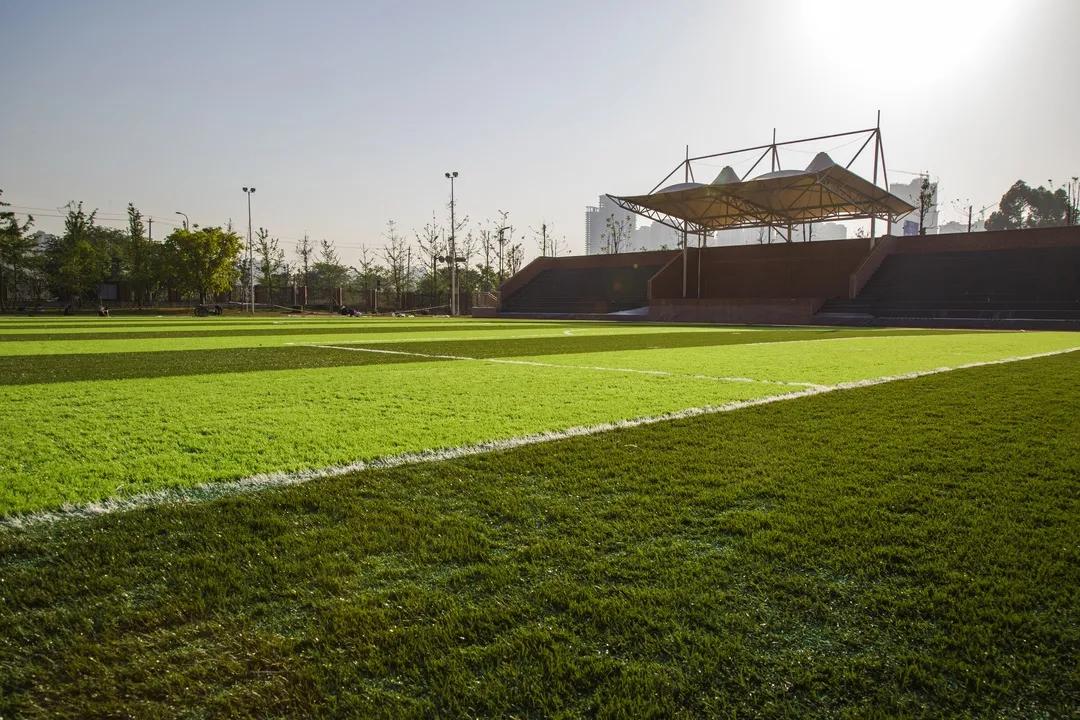 成都天府新区华阳小学,成都市天府新区华阳小学