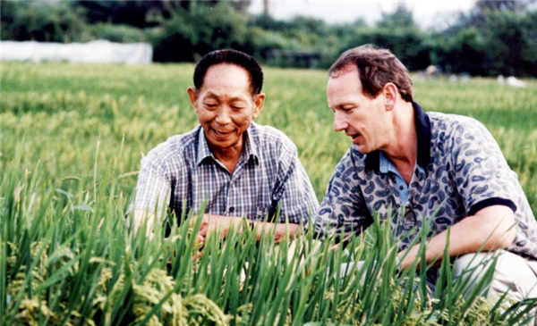 霍金牛顿爱因斯坦谁最厉害,牛顿和爱因斯坦谁的科学能力厉害