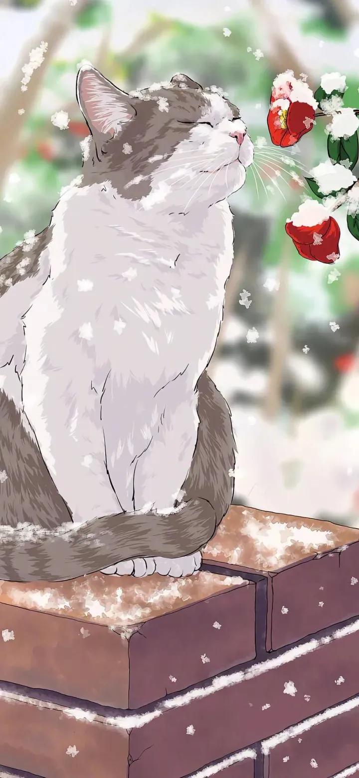 自我的女生有什么表现,有点自我的女生怎么样