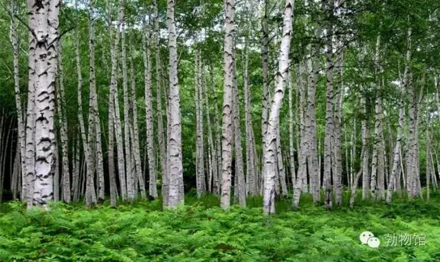 我叫勃利，这是我的个人名片