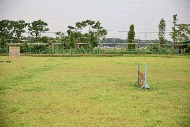 最好的宠物乐园在哪儿,19.9元宠物乐园