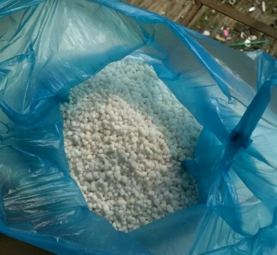 绿萝养护技巧和注意事项,绿萝的叶子怎么养护才能又肥又大