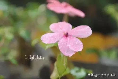 适合写心灵鸡汤的经典句子,男人心灵鸡汤句子精辟