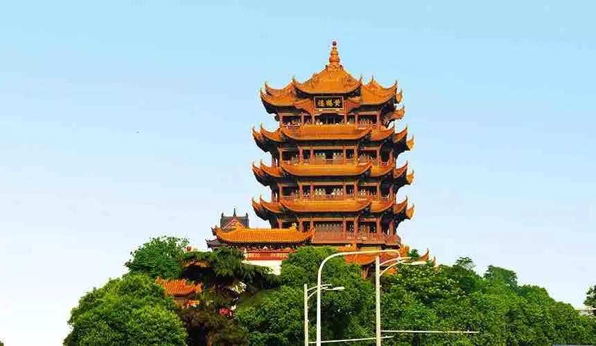 钱币收藏价值梅花五角钱,钱币收藏菊花一元2000年