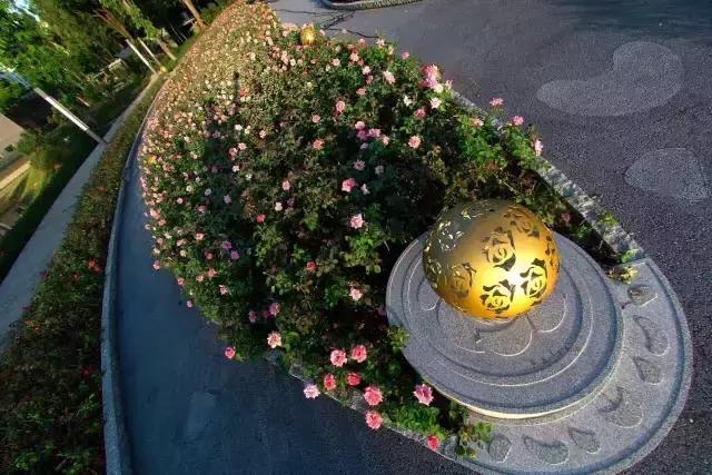 深圳最美婚姻登记处怎么预约,深圳哪个区结婚登记处最美