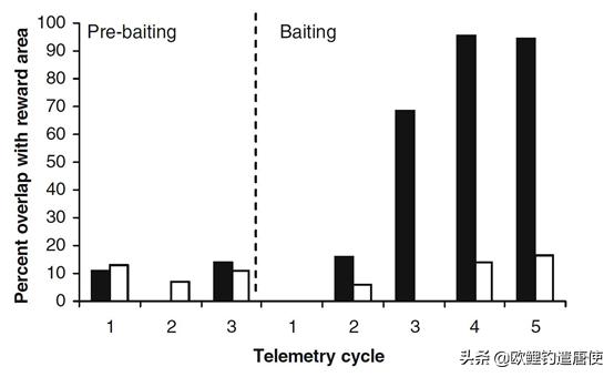 有哪些基础钓法初学者要学会,新手最稳妥的一种钓法