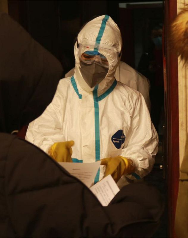 美丽迎春花开了,迎春花盛开的绝美春日盛景