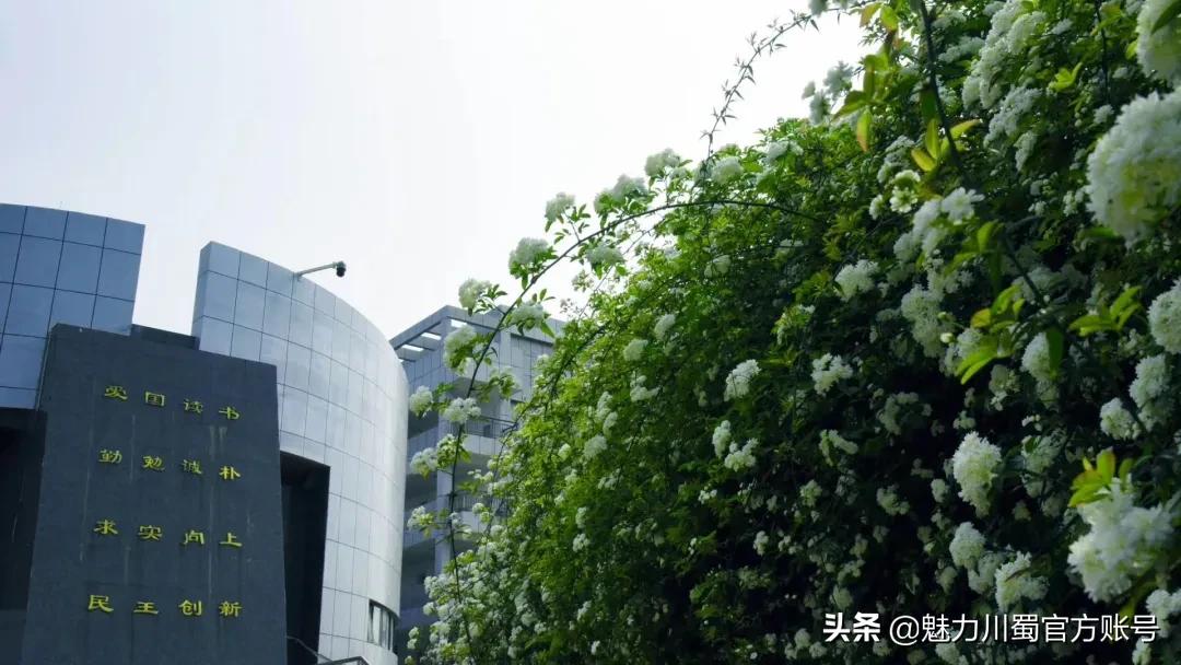 家长对学校家园合作评价,学生对绵阳南山中学评价