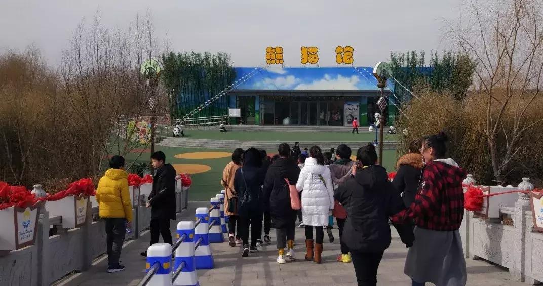 活动锦集|你在点金的每一个点滴，都值得被记住