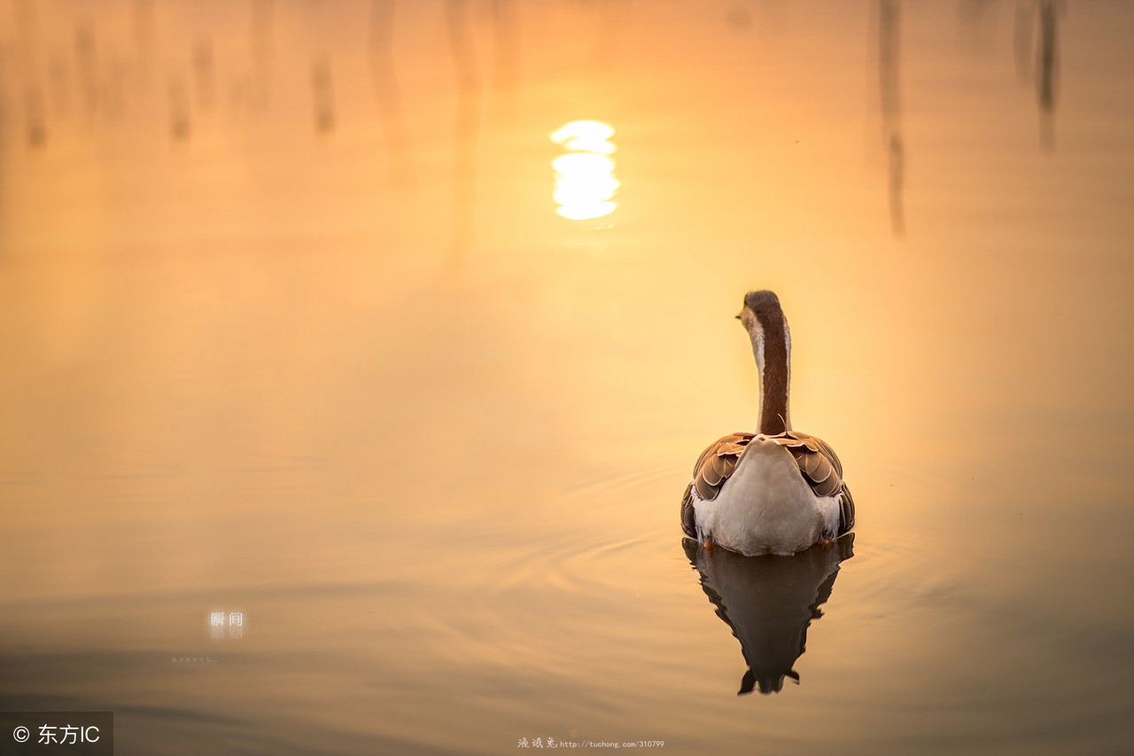 戳中泪点的表白,女人对男人表白情话最暖心一段话
