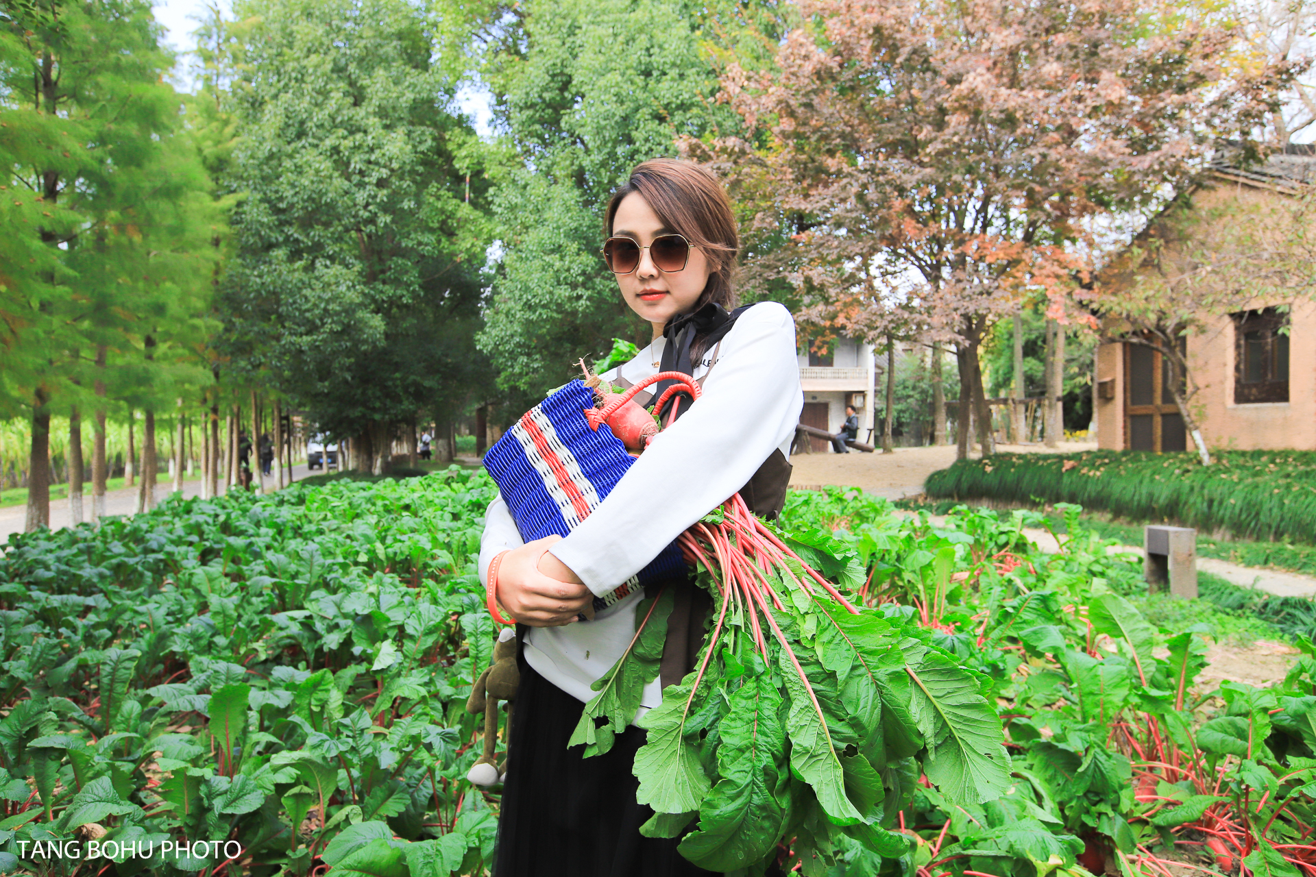 乌镇，来过未曾离开，感受小桥流水人家的静谧安闲