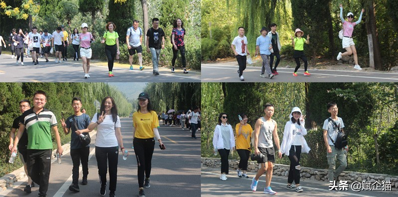 赋企猫怎么样,赋企猫官网