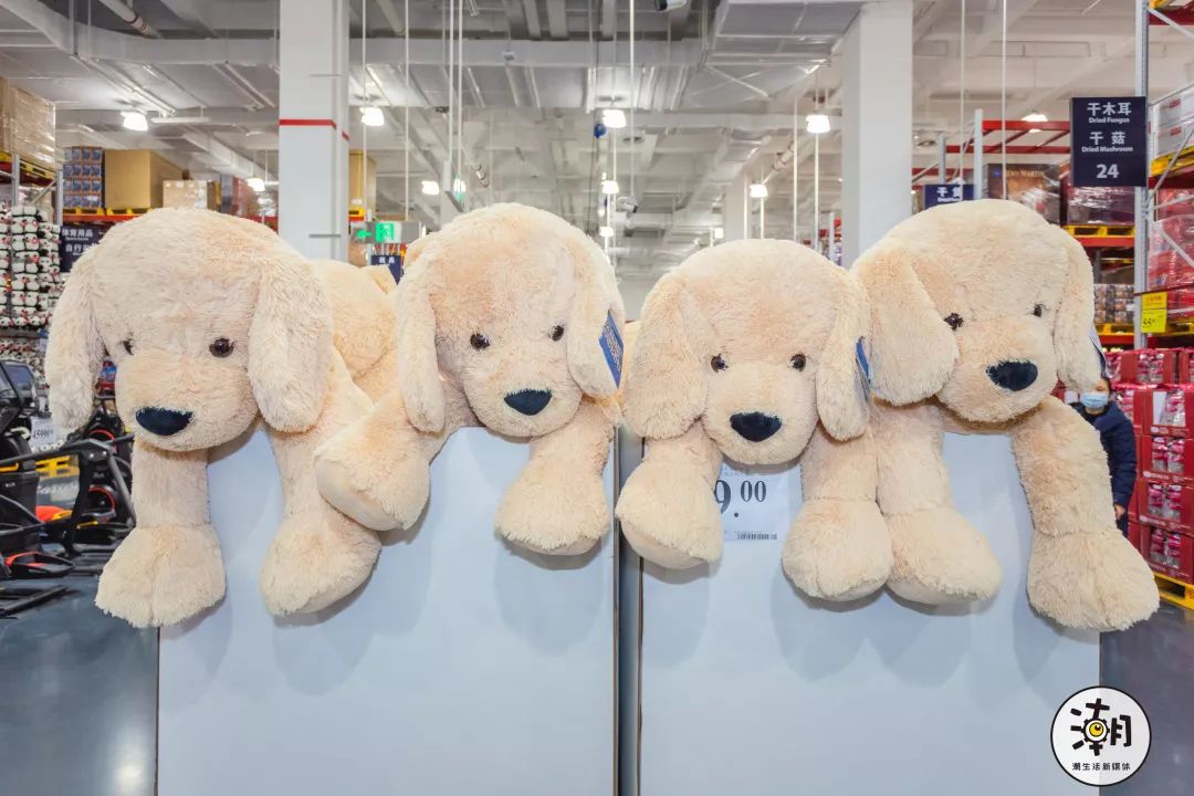 成都第一个山姆会员店,你为什么留在这座城市四川