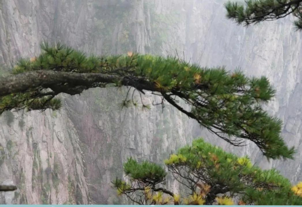 涓嶅埌闀垮煄闈炲ソ姹変笉鐧讳笢灞辨尯閬楁喚,涓嶅埌闀垮煄闈炲ソ姹変笉鐧绘嘲灞辨槸閬楁喚