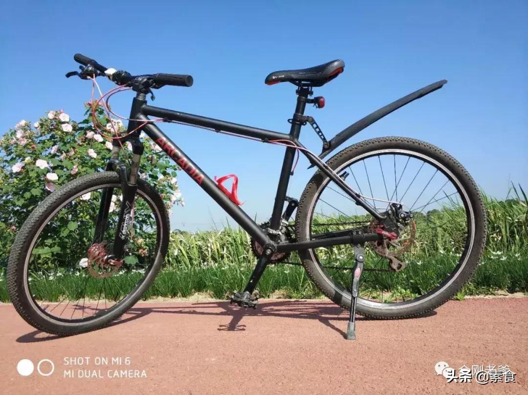 66岁的台湾老爹如何独居苏州过上神仙般的生活