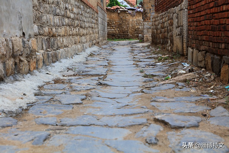 瑙︽懜涔℃剚鍙よ瘲鍥剧墖,瑙︽懜涔℃剚