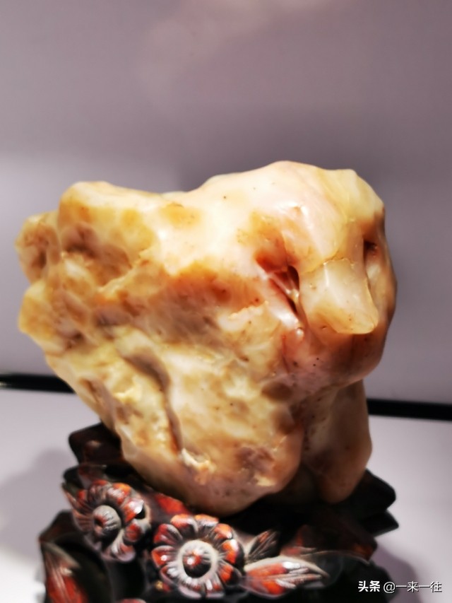 我对自然的认知,我对自然之书的理解