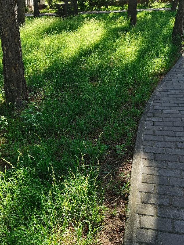 一个人被三个人讹怎么处理,被人讹了一百块心里不爽怎么办