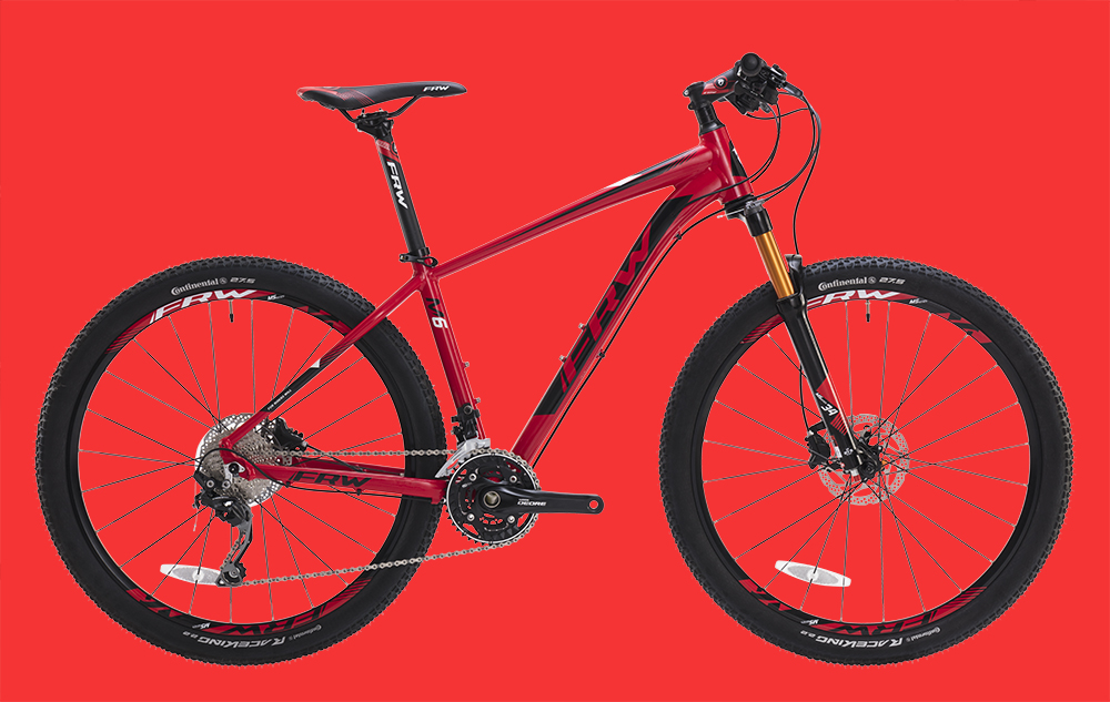 辐轮王和土拨鼠自行车谁质量更好,中国十强自行车辐轮王