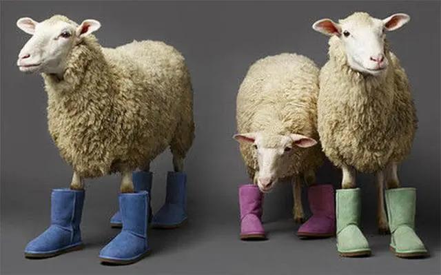 ugg男的能穿吗,ugg男可以穿吗