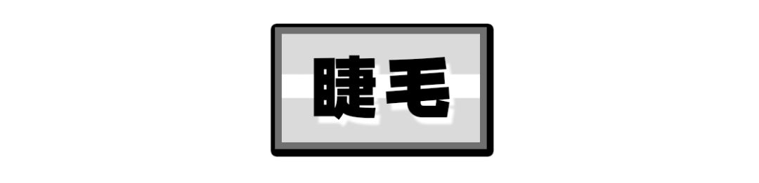 十块钱的假睫毛推荐,10块钱以内的整根假睫毛