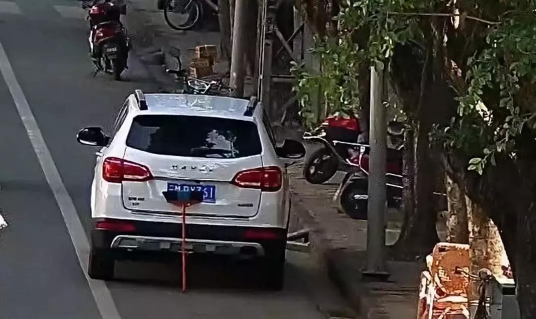 高手在民间拦阻索,高手在民间一点破绽都看不出来