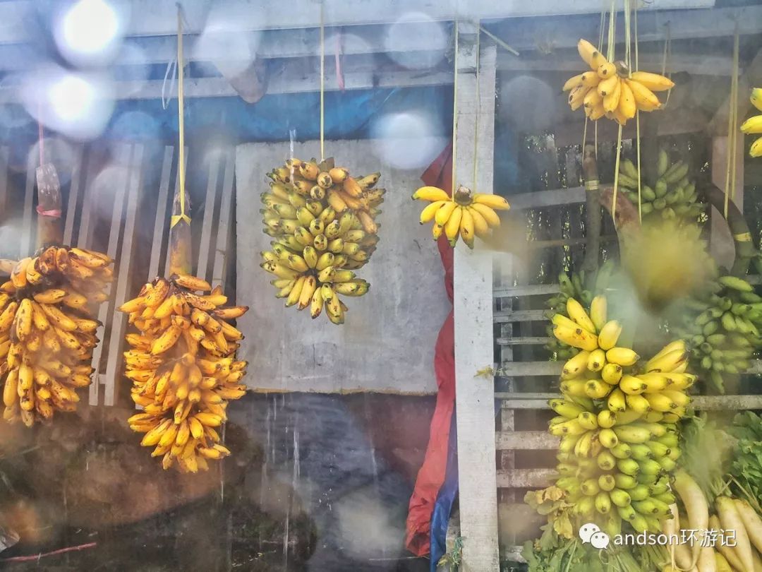 印尼你好怎么发音,印尼歌曲你好傻