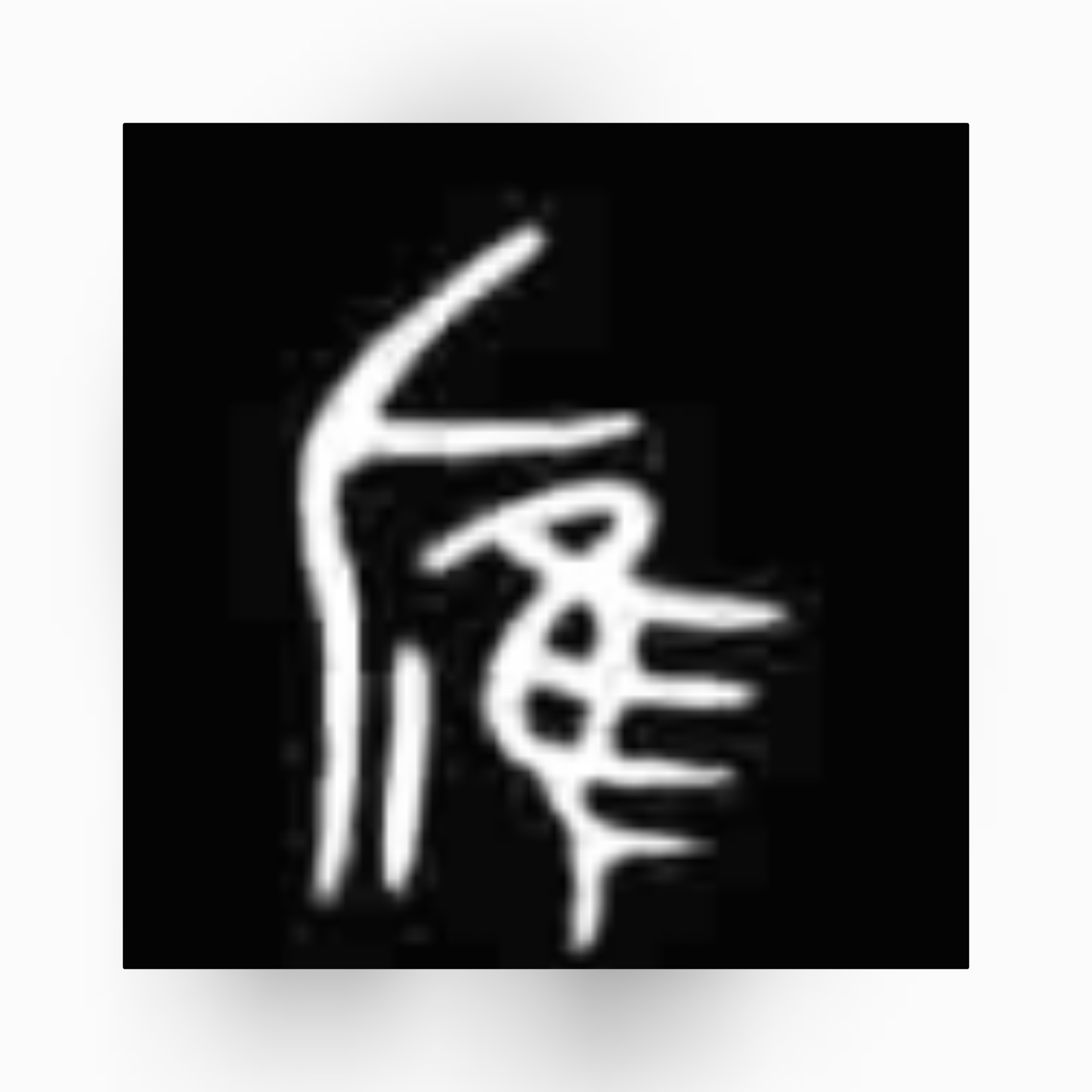 佳和隹字区别,隹字的讲解