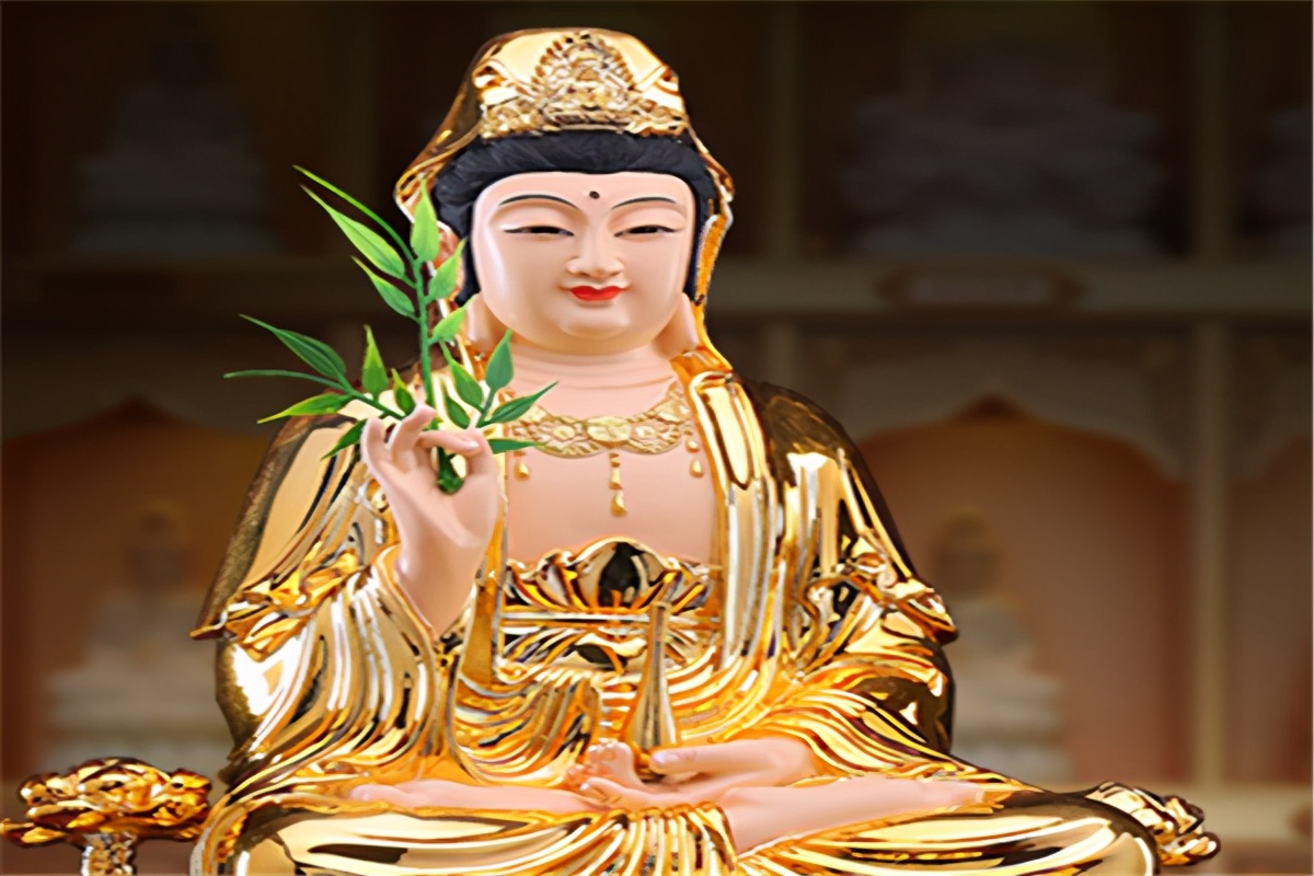 观音手里的杨柳枝样子,观音菩萨手执柳枝