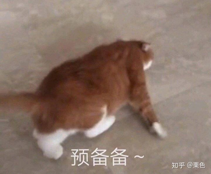 淘宝购物下单省钱步骤,淘宝购物省钱大方法视频