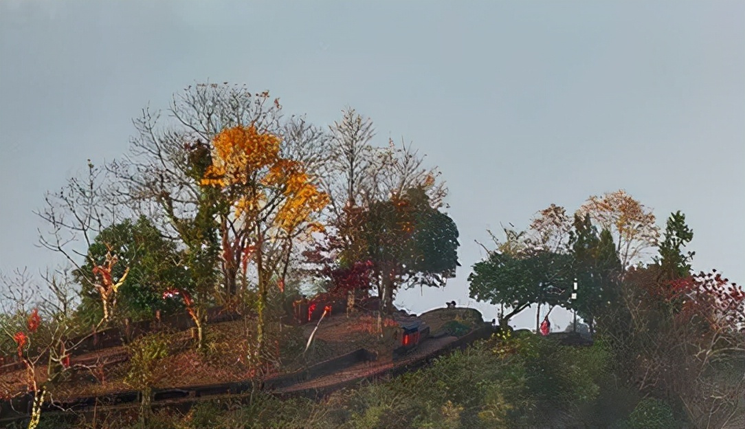 走在创业路上的老胡,老胡创业