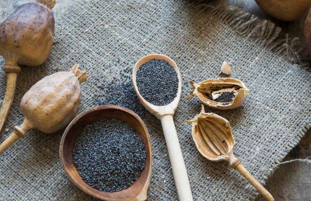 禁食猪肉的国家有哪些,禁食有毒食品