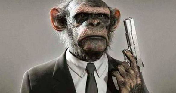 有一个程序员老公是怎样的体验,找一个程序员老公的好处