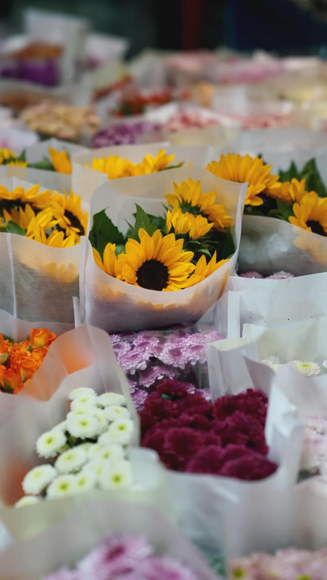 乌鲁木齐附近最便宜的花市,乌鲁木齐市花街在哪里