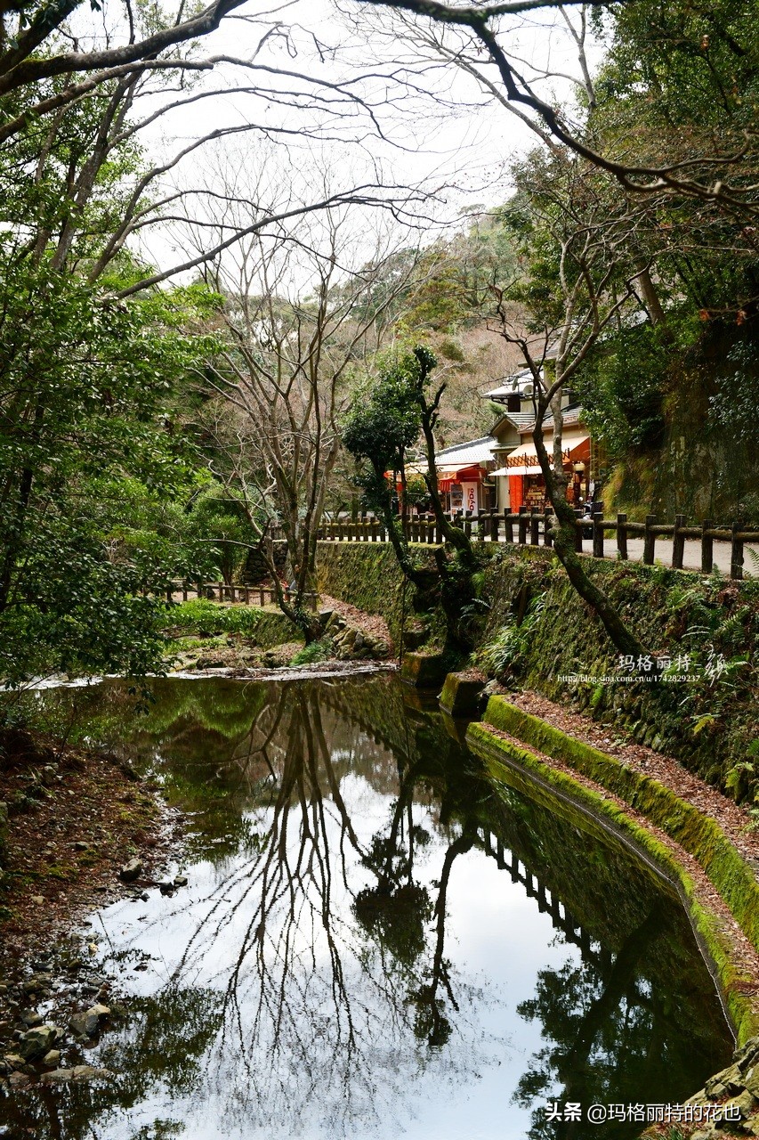 萁田森林公园和大阪的省钱之旅|行摄日本
