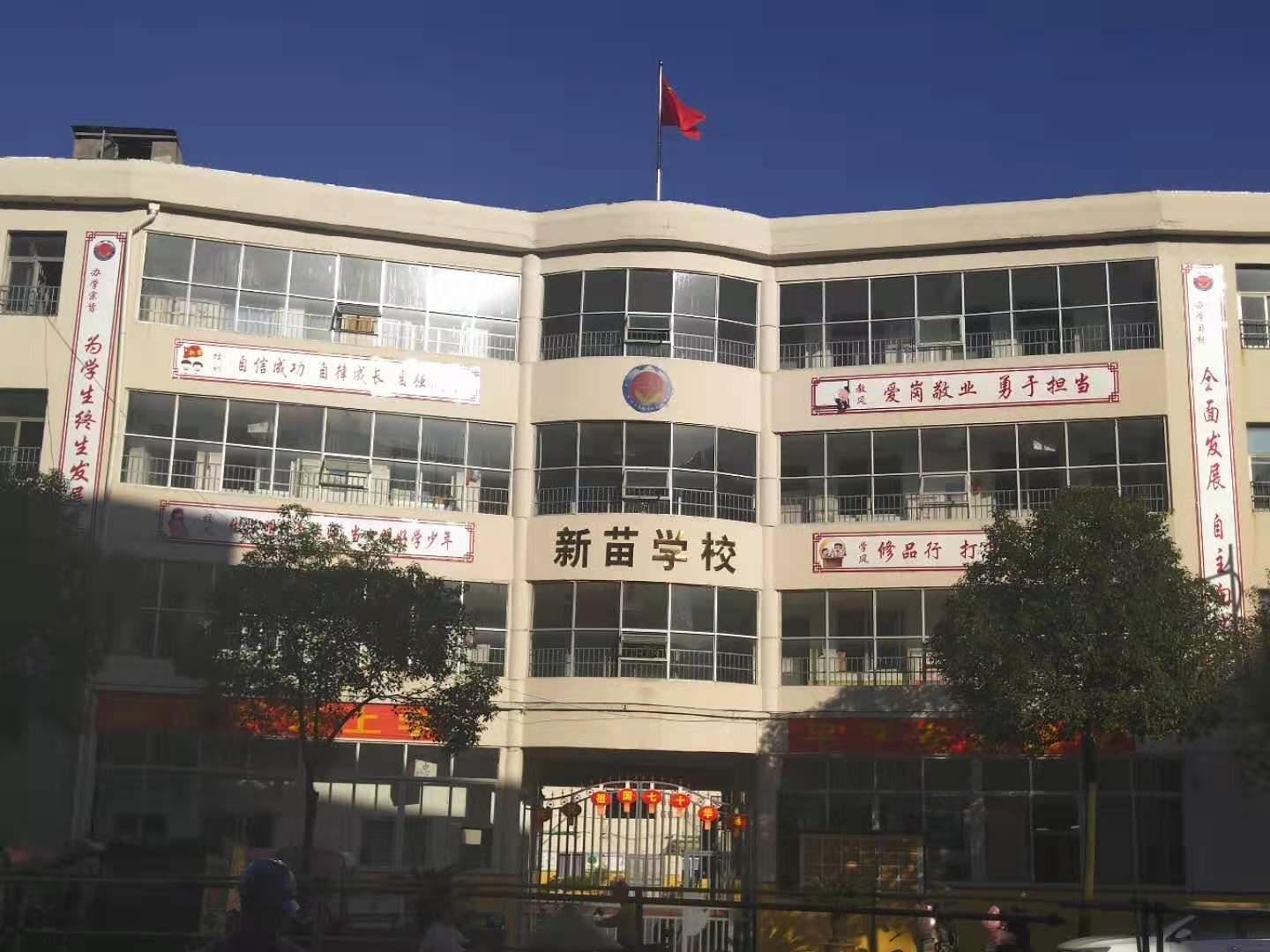 新苗学校：“我要上皇榜”，让乐学切实发生在校园