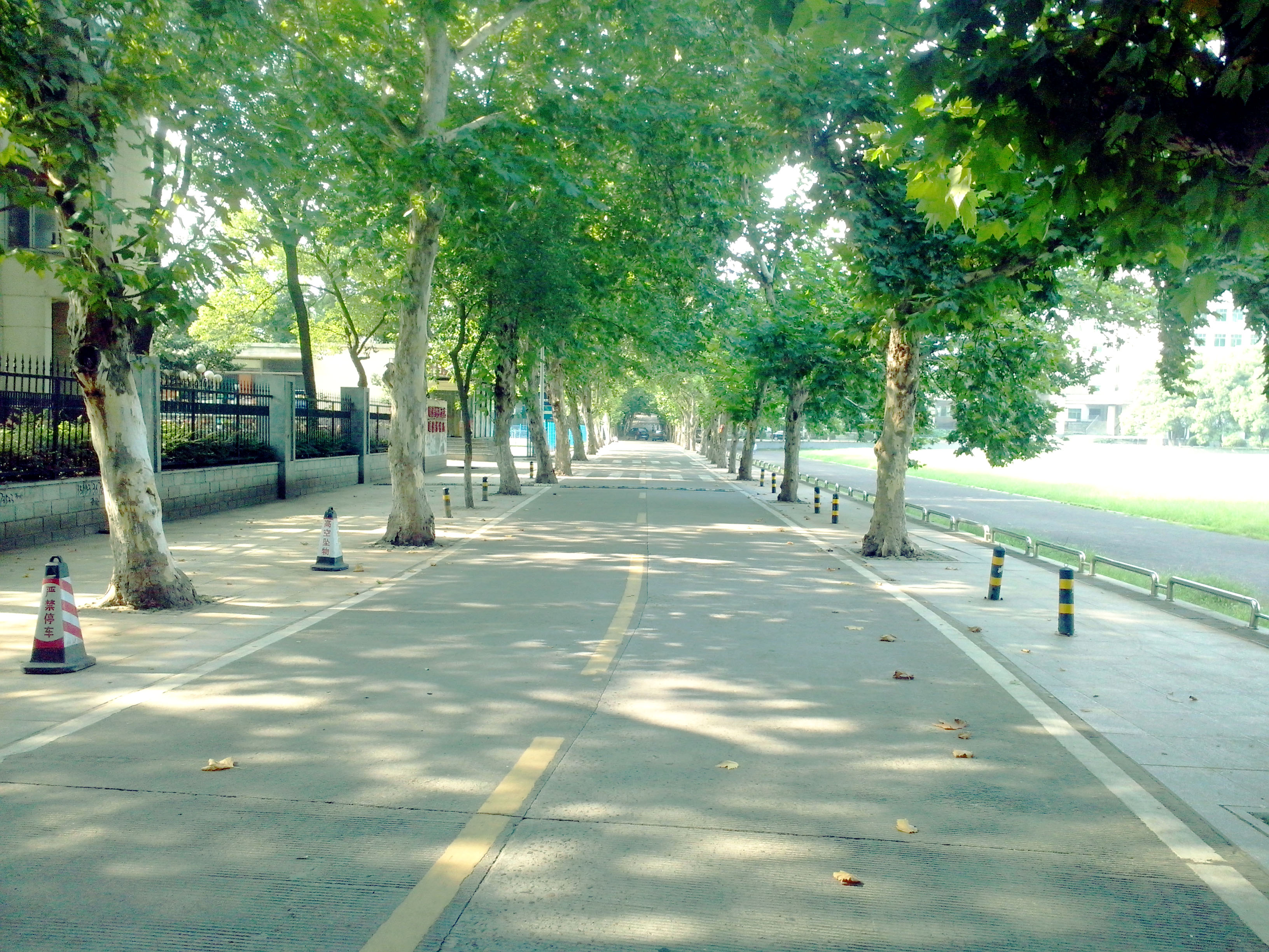 香樟往事——05真正的朋友