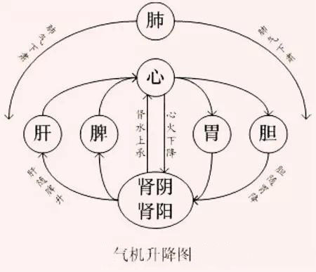 《疏调学术论坛》疏调气机理论及方剂治疗失眠患者临床探析