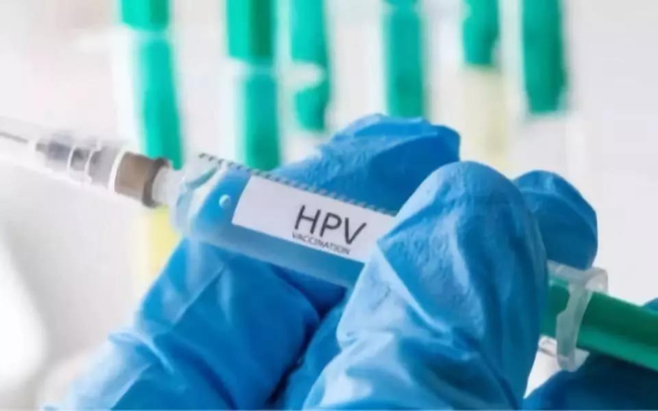 为什么香港被称为购物者的天堂,香港为什么成为购物天堂旅游热土