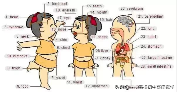 34张图教你记住英语中所有生活用词！