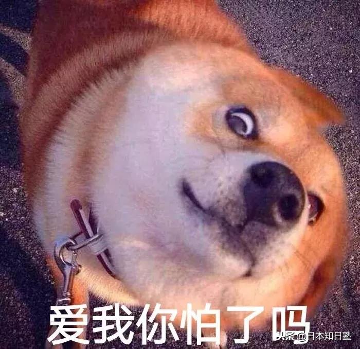 日本新闻报道的双十一,日本媒体报道双十一