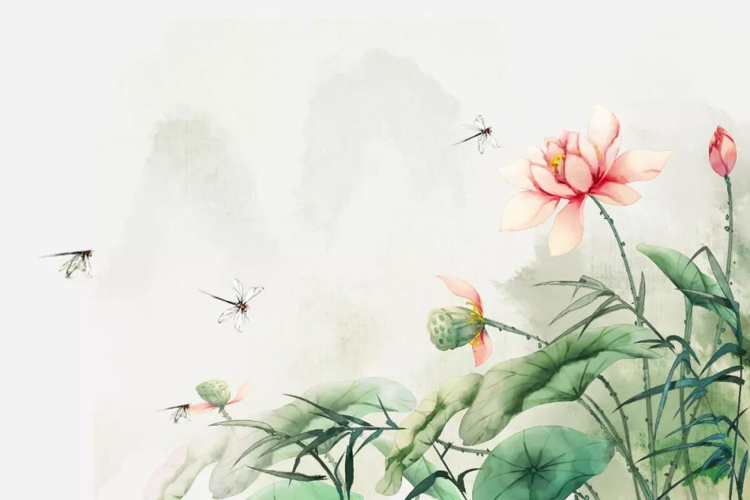 诗词中的夏天，名字好美