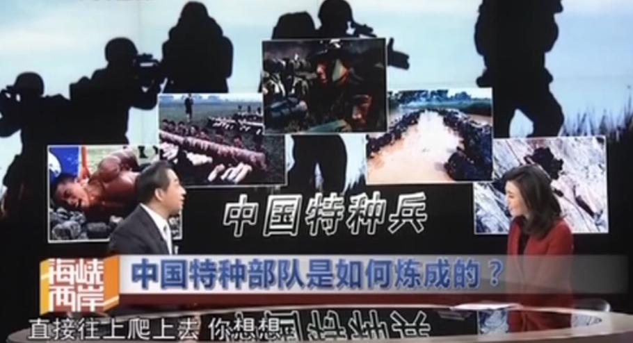 42岁“央视颜霸”李红被黑，你们真的了解她吗？